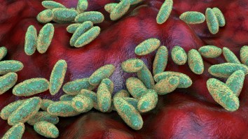 The Plague Is Back And Took The Life Of An Arizona Resident: Is It Time For You To Worry?