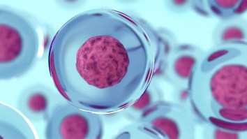 Scientists Are Testing A First-Of-Its-Kind Drug That May Slow Or Stop Aging