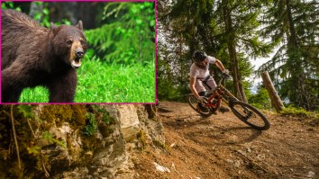Whistler Mountain Biker Comes Face To Face With A Bear On The Trail, Then He Got Called Out By Thousands For Making A Huge Mistake
