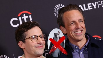 Andy Samberg’s Extreme Hatred For Seth Meyers’ Dog Is Revealed In A ‘Gotcha’ Moment That Ends In Heartbreak