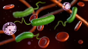 ‘Flesh-Eating’ Bacteria Cases Surging In Numerous Gulf Coast And Eastern Seaboard States