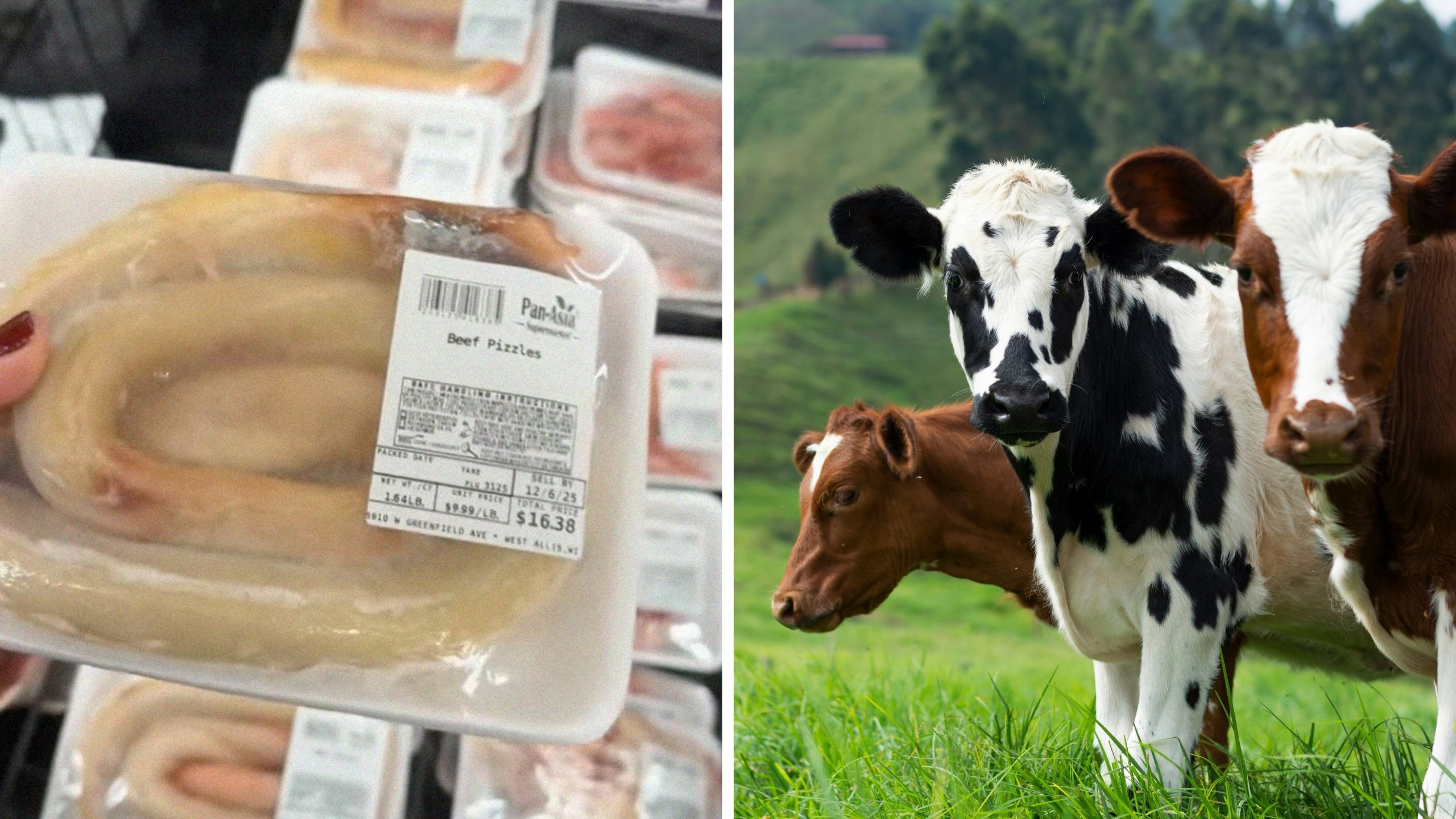 beeef tizzle in package at grocery store next to cows