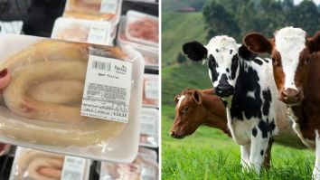 ‘That Looks Very Phallic’: Wisconsin Grocery Store Customer Finds Beef Pizzles. What Part Of The Cow Is That?