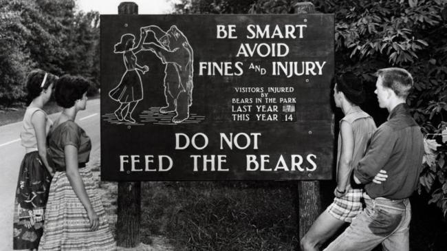 Great Smoky Mountain National Park bear sign