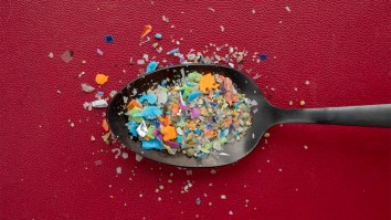 Microplastics Are Making The Air Indoors More Polluted Than The Air Outside: Study