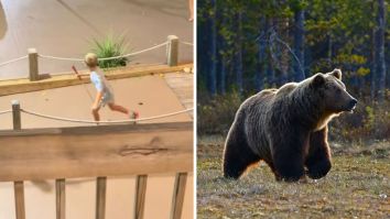 ‘The Kid Running Made The Bear Chase After Everybody’: Customers Go Mini Golfing In Tennessee. Then A Bear Joins Them On The Course