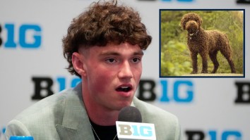 Top 10 Quarterbacks In College Football And Which Kind Of Dog They Most Resemble