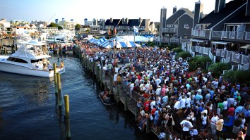 929.5-Pound Blue Marlin Weighed At The 2025 White Marlin Open In Ocean City Stands To Win $4.485 Million