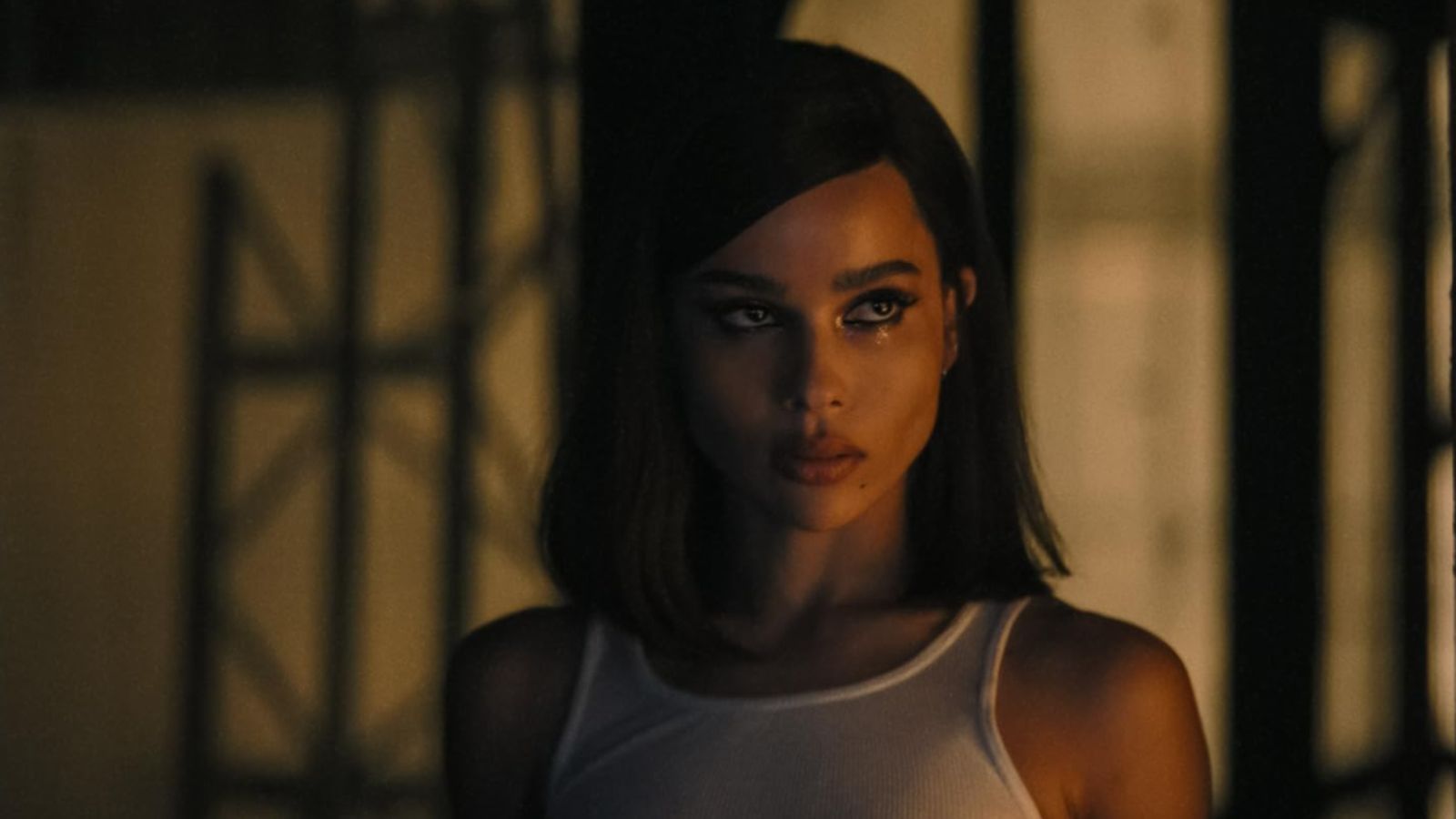 5 Unknown Things About Zoe Kravitz