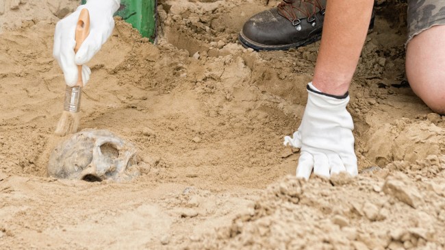 Archaeologist-uncovers-skeleton