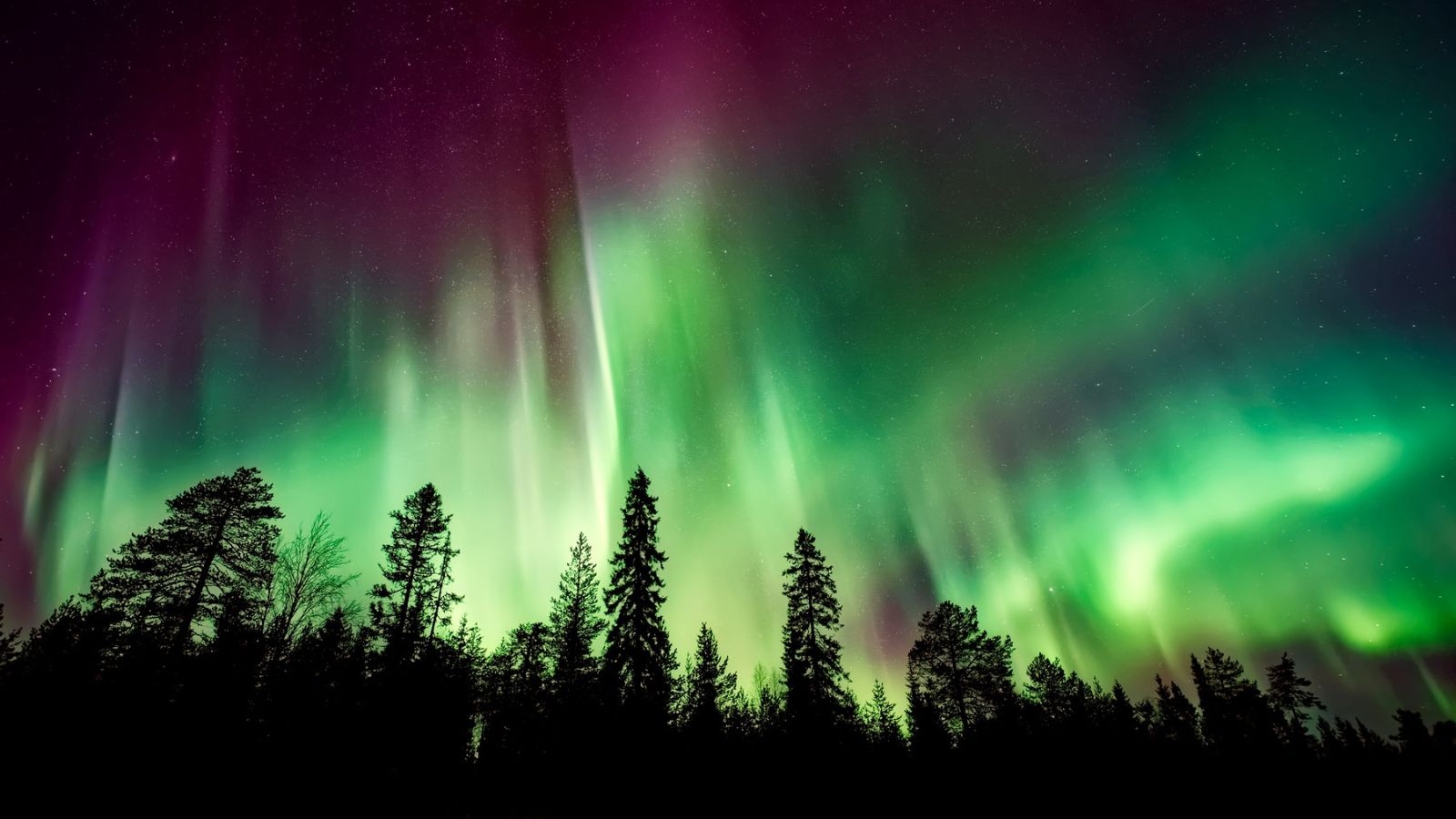 Northern lights