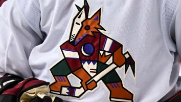 AHL Team Wisely Adopts Remixed Version Of Beloved Coyotes ‘Kachina’ Logo To Bring It Back From The Dead