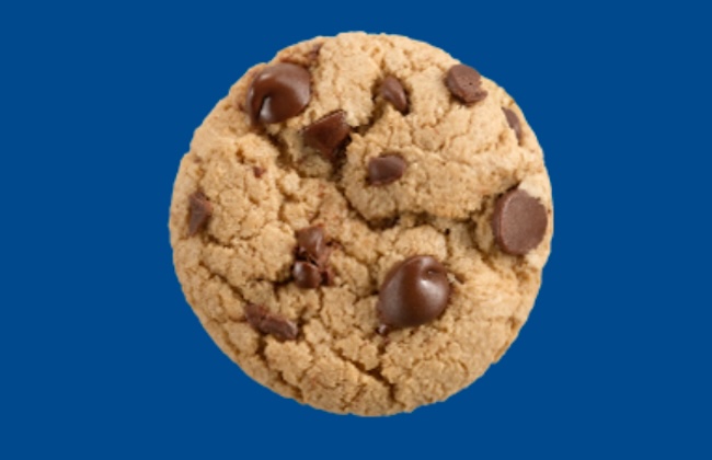 Caramel chocolate chip Girl Scout cookie