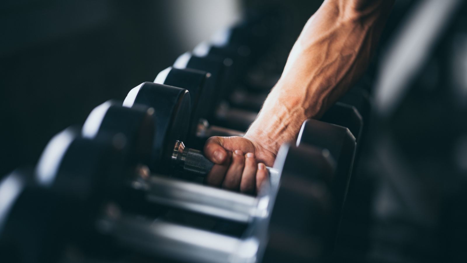 man lifting dumbbell off dumbbell rack