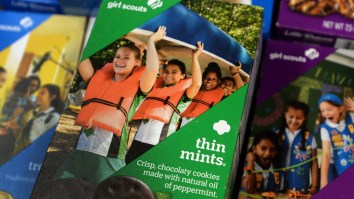 Ranking All 10 Types Of Girl Scout Cookies From Worst To Best
