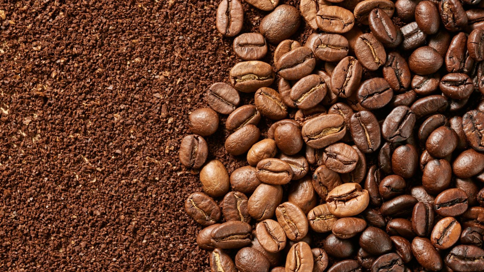 Coffee For Lawns