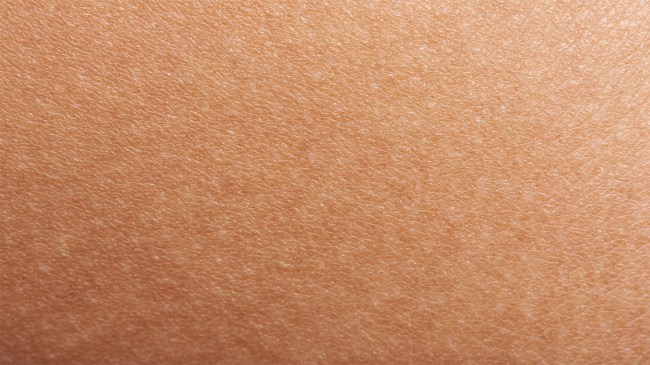 human-skin