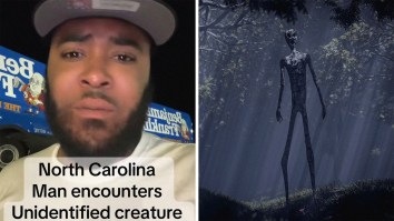 ‘He Feels Something Jump On The Back Of His Pick Up Truck’: North Carolina Man Drives At Night On The Highway. Then He Runs Into An ‘Unidentified’ Creature