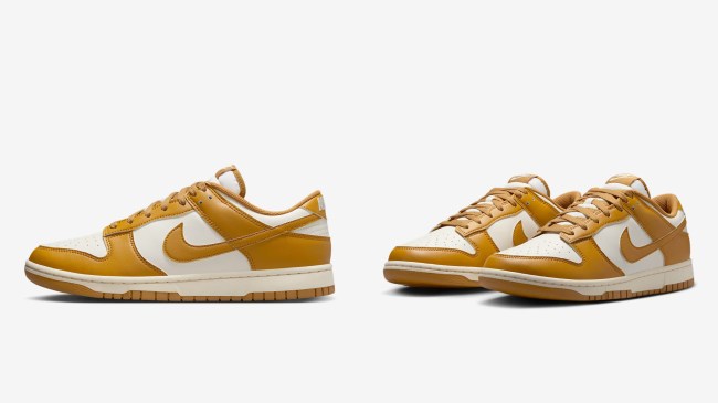Nike Dunk Retros