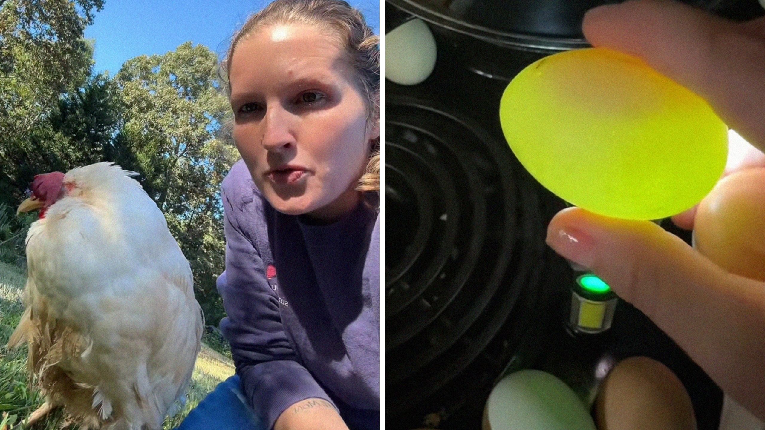 woman and chicken (l)woman holding egg on top of flashlight (r)
