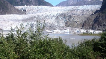 Scientists ‘Woke Up’ Ancient Life That Had Been Trapped In Alaskan Ice For 40,000 Years