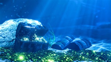 Over 1,000 Silver And Gold Coins Worth $1 Million Recovered From Shipwreck Off Florida Coast