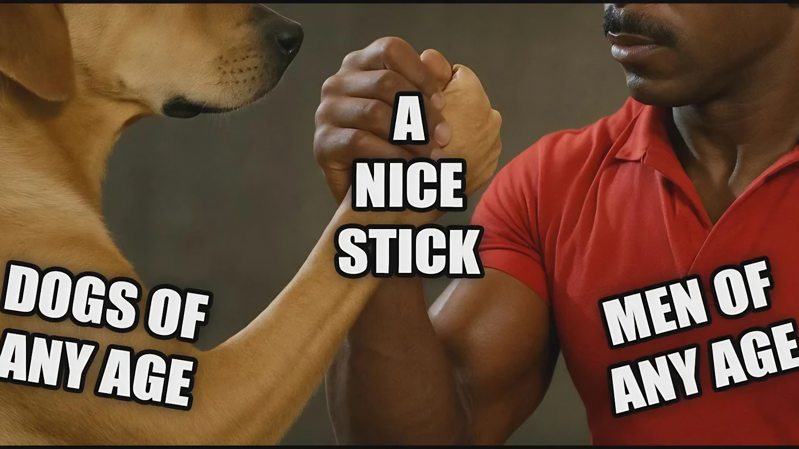 best meme this week about men and dogs
