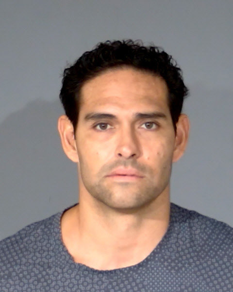 Mark Sanchez mugshot