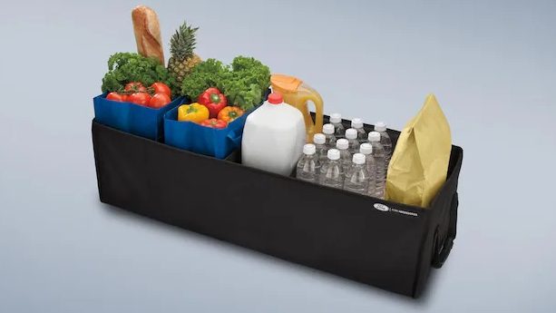 Soft-Sided Folding Cargo Organizer