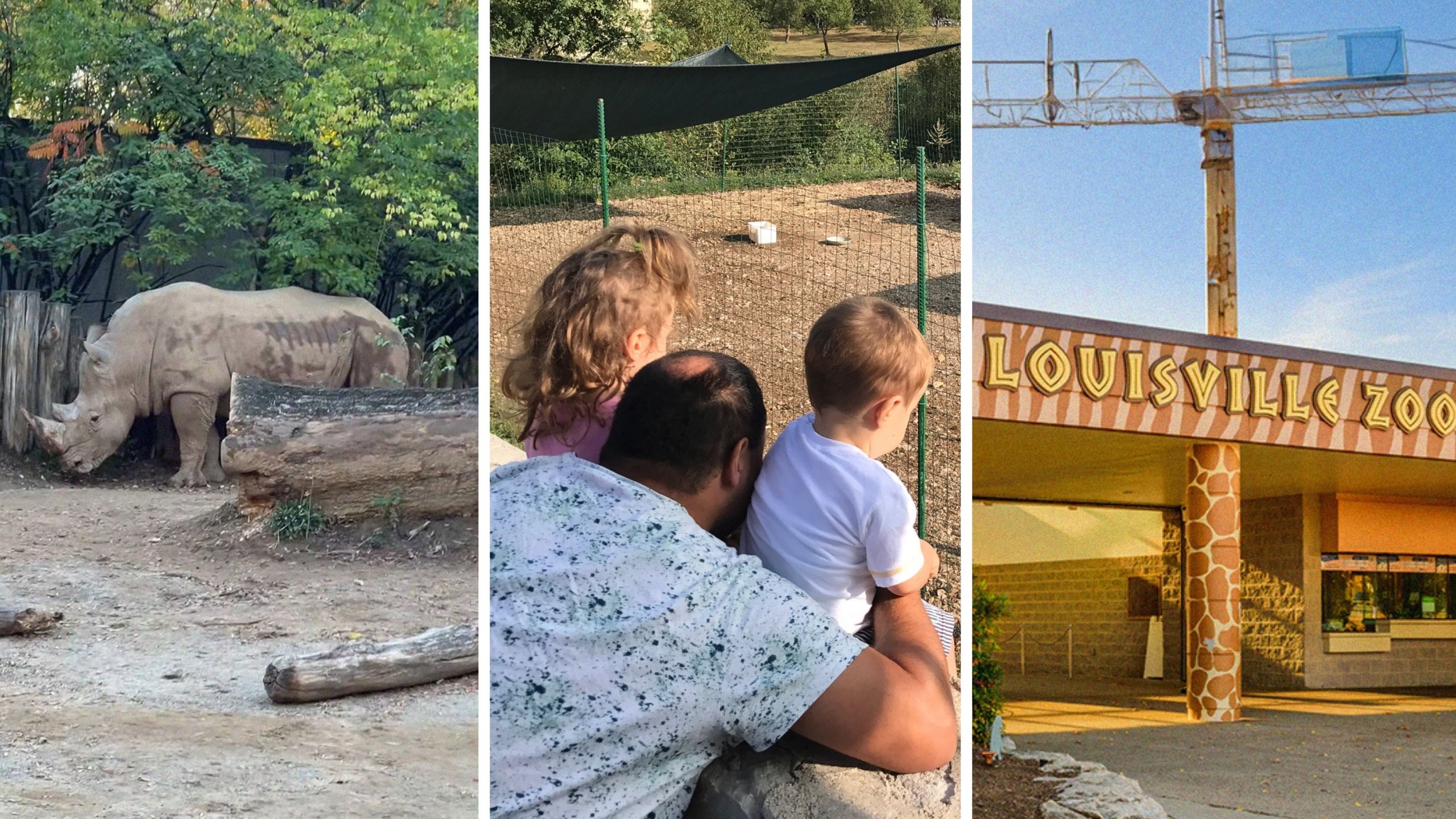 rhinoceros in the zoo (l) man looking at animals over fence (c) louisville zoo entrance (r)