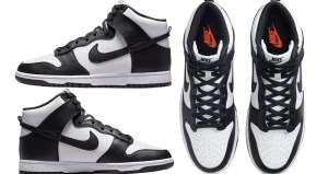 Nike Dunk High Retro shoes