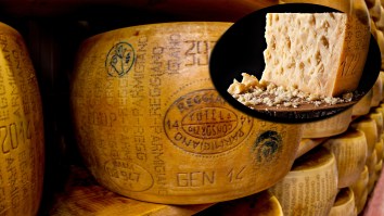 Parmigiano Reggiano (Yes, The Cheese) Has Signed With The Same Talent Agency As Harrison Ford, Bad Bunny, And Paul Giamatti