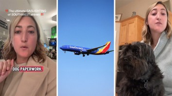 ‘If You’re Desperate For Money Southwest Just Say That’: Southwest Airlines Customer Tries To Bring Her Service Dog On San Diego Flight. Then She Says A Worker ‘Gaslit’ Her