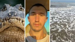 ‘He Clearly Is On Vacation From Florida!!’: Man Visits Houston Beach. He Runs Into A Wild Predator Just Chilling On The Sand