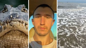 ‘He Clearly Is On Vacation From Florida!!’: Man Visits Houston Beach. He Runs Into A Wild Predator Just Chilling On The Sand