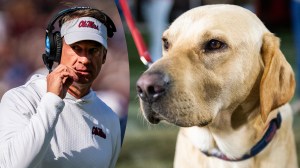 Lane Kiffin Dog Juice Wildrose Kennels
